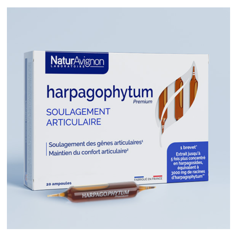 Harpagophytum ampoules - Soulagement articulaire NaturAvignon - 1