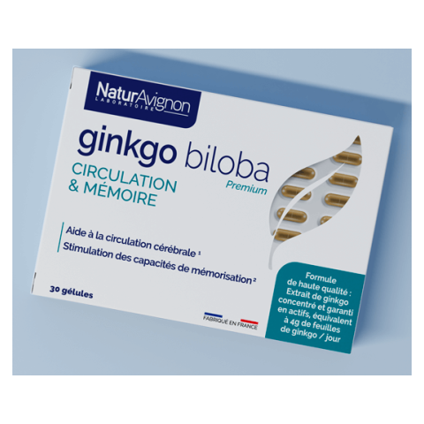 Ginkgo biloba - Stimuler les capacités de mémorisation NaturAvignon - 1
