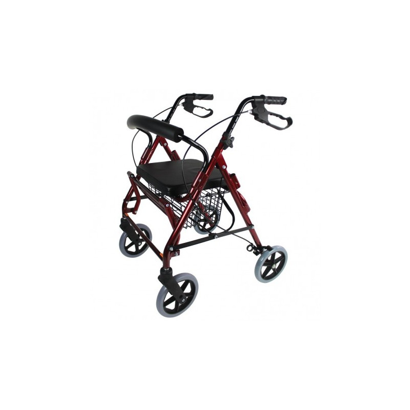 Rollator fauteuil de transfert Vicor Identités - 1